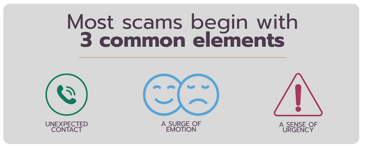 3 common Fraud elements 3 common Fraud elements